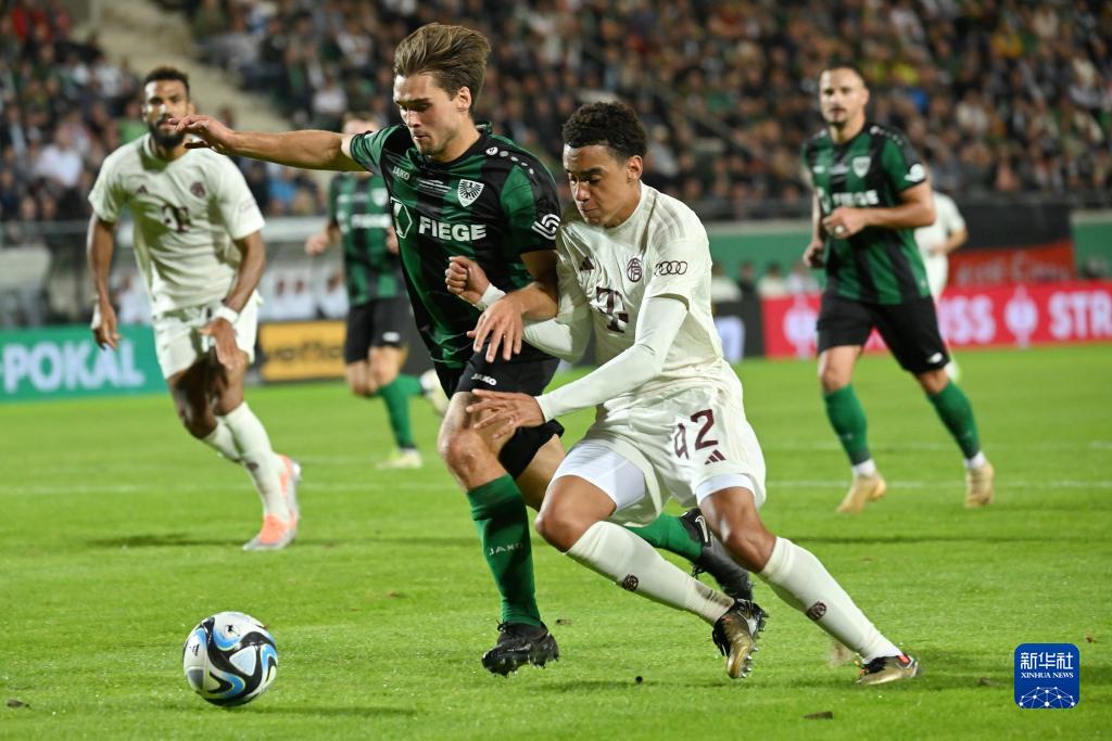 的写实样本 的写实样本