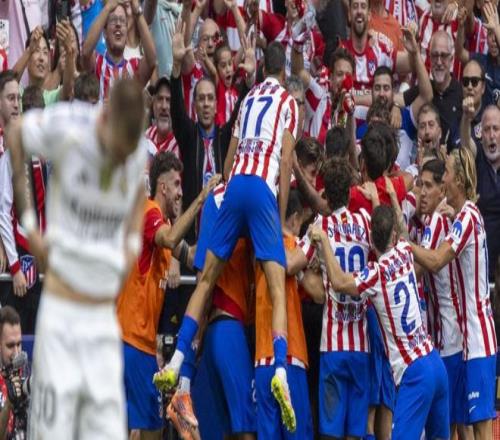 护的应对效 护的应对效